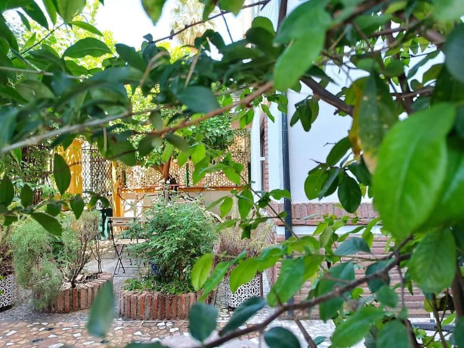 그라나다 Casa Limonero Con Parking Gratis Junto A Centro Historico 빌라 외부 사진