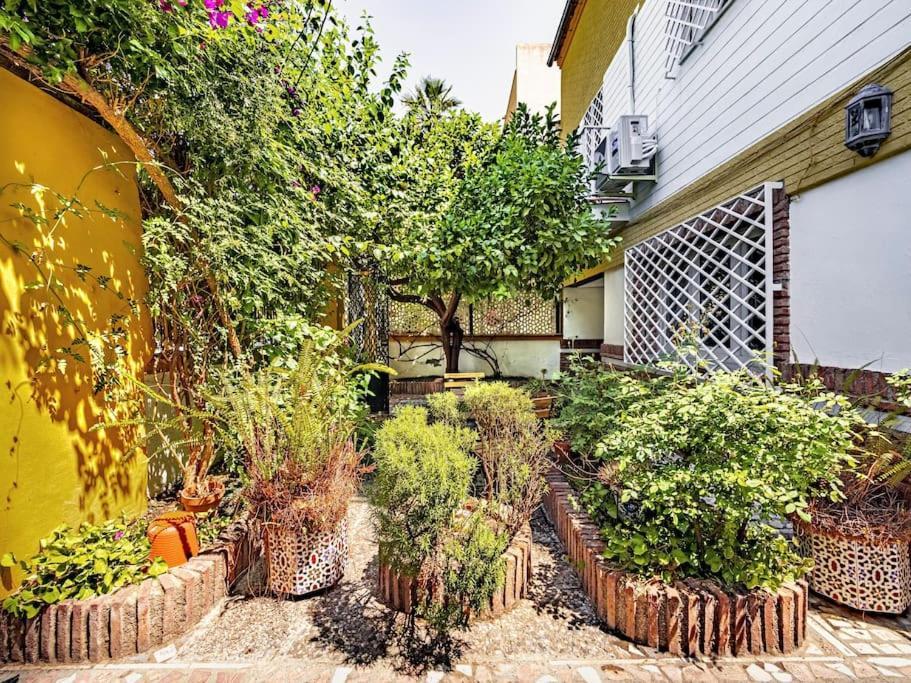그라나다 Casa Limonero Con Parking Gratis Junto A Centro Historico 빌라 외부 사진