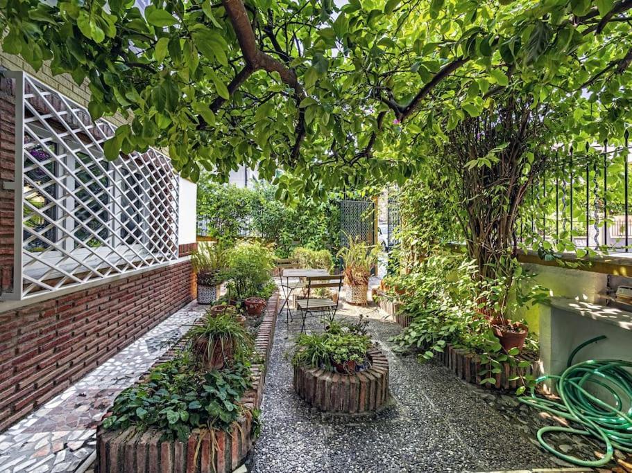 그라나다 Casa Limonero Con Parking Gratis Junto A Centro Historico 빌라 외부 사진