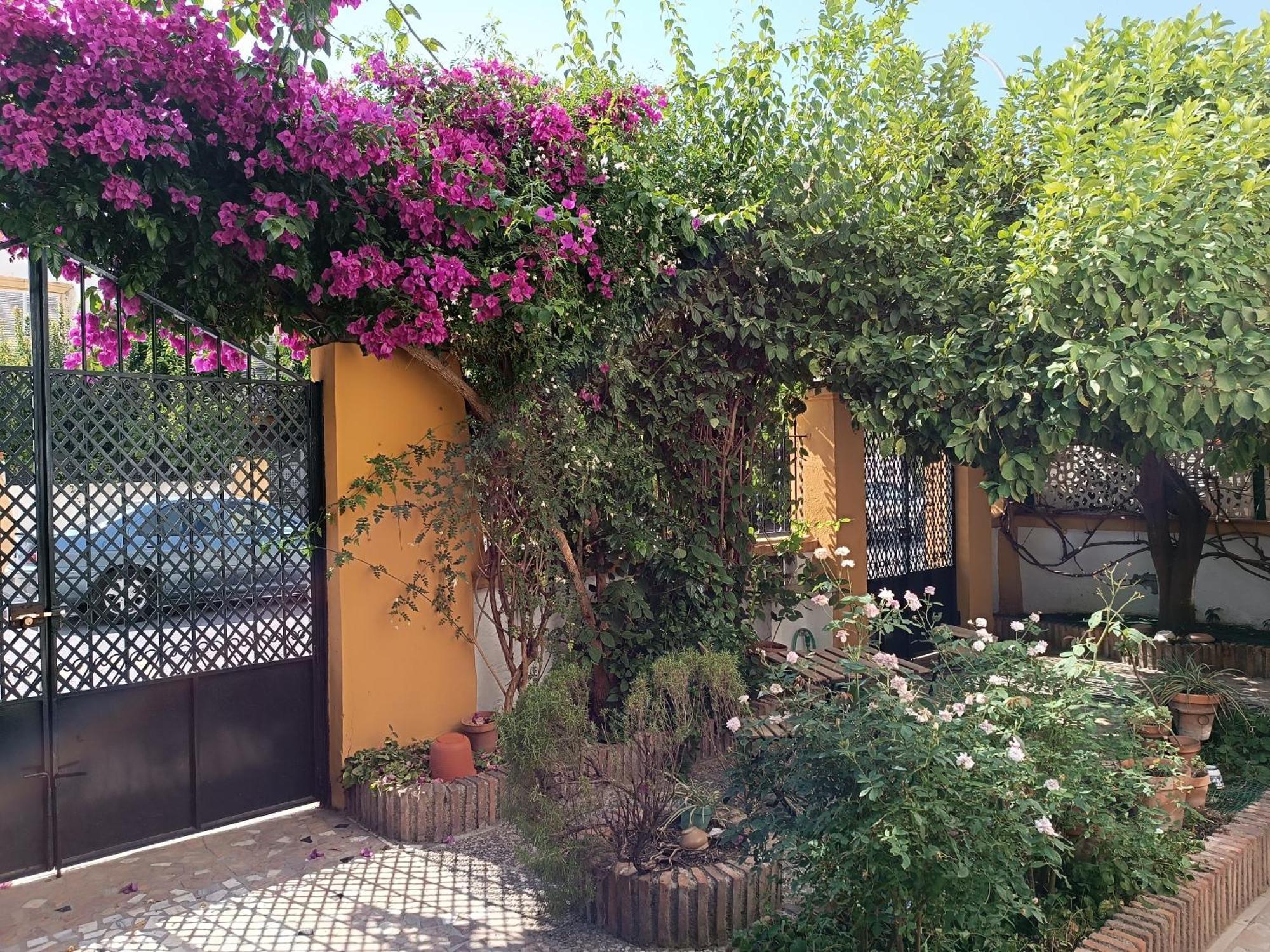 그라나다 Casa Limonero Con Parking Gratis Junto A Centro Historico 빌라 외부 사진
